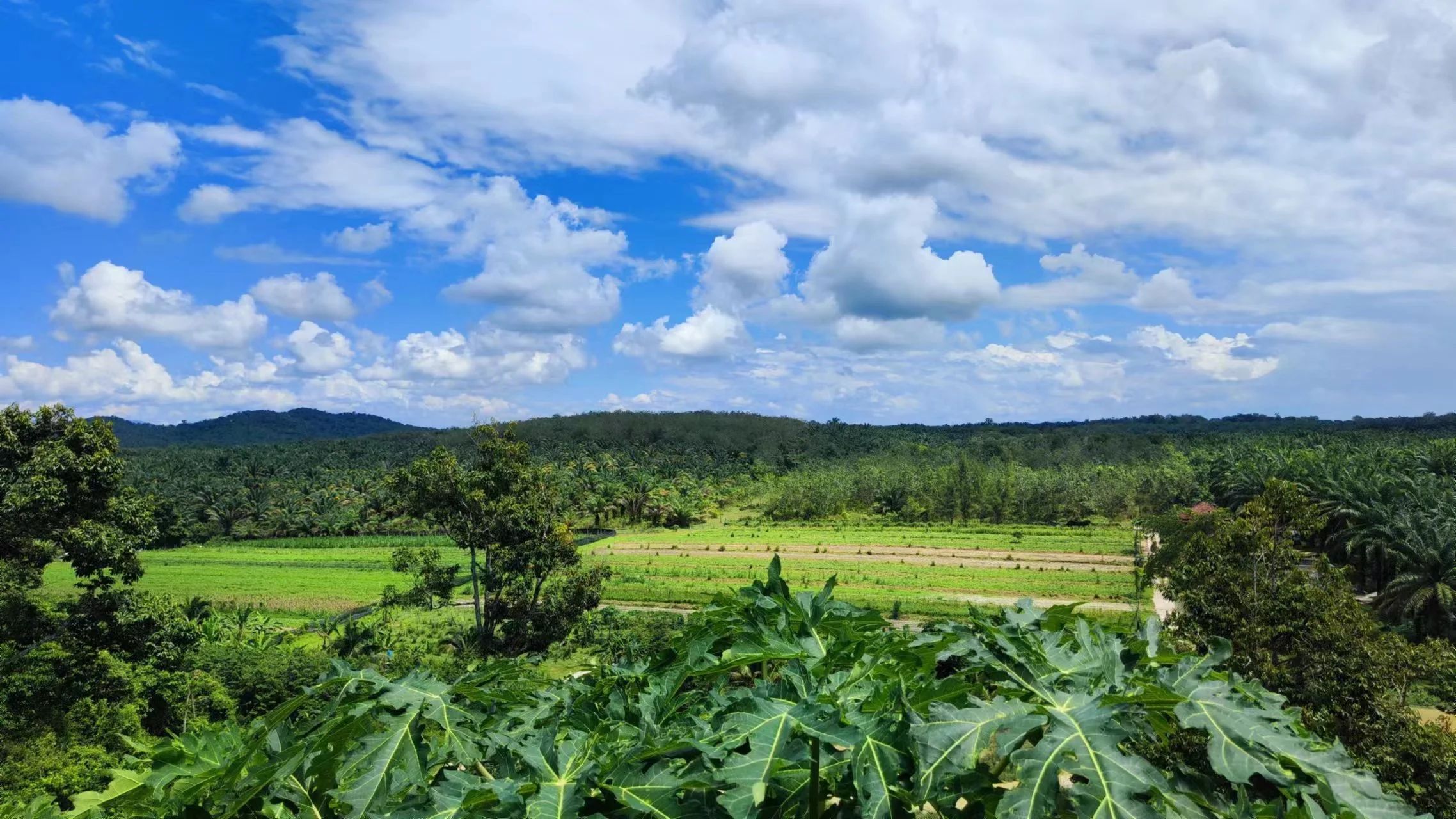 紧急行动：防止地球崩溃，化解人类生存危机，做生态人！住生态村！