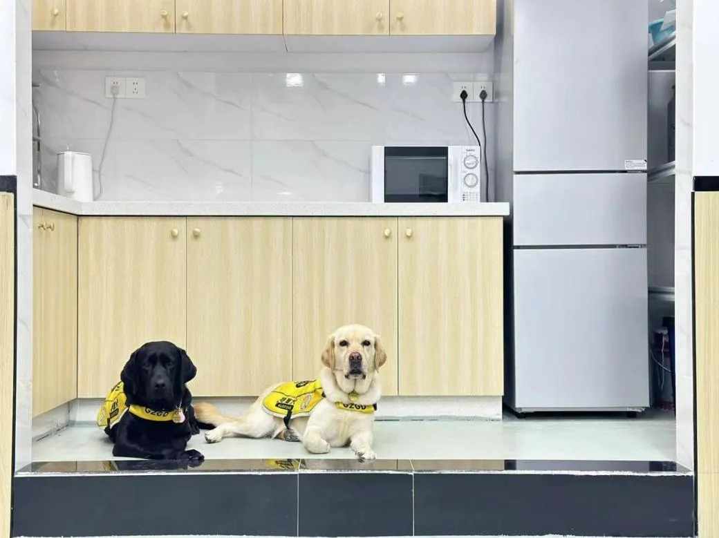 众信公益X最强蜗牛|助力广州导盲犬学校新校舍投入使用~