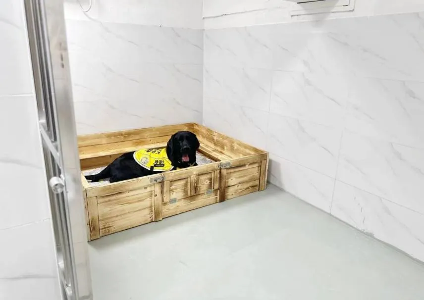 众信公益X最强蜗牛|助力广州导盲犬学校新校舍投入使用~