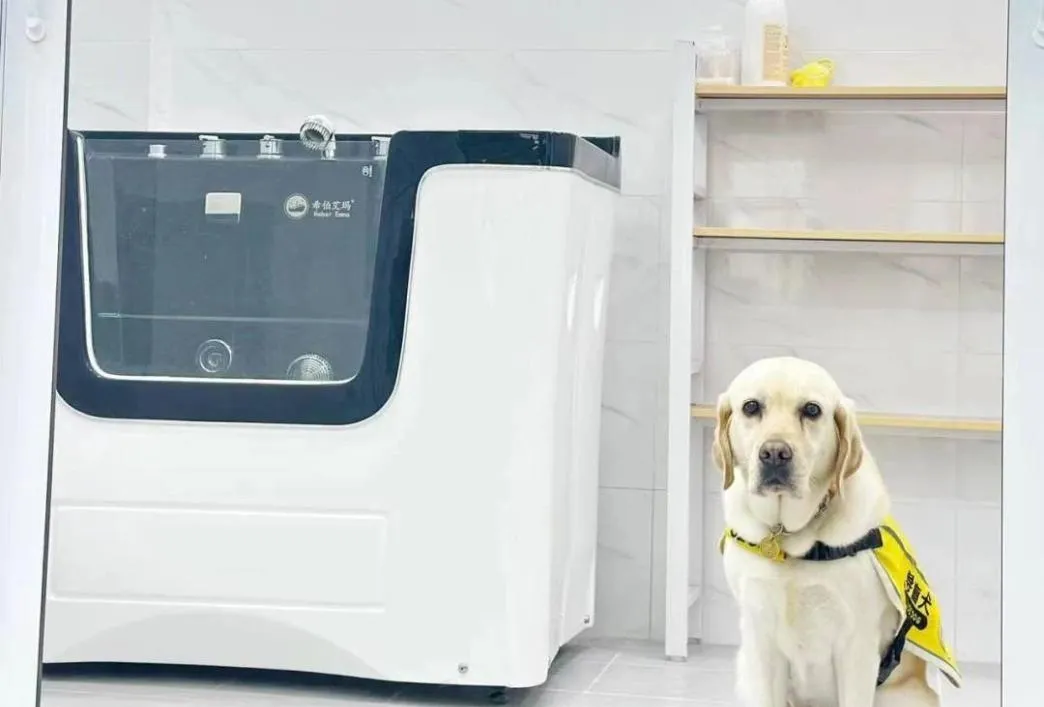 众信公益X最强蜗牛|助力广州导盲犬学校新校舍投入使用~