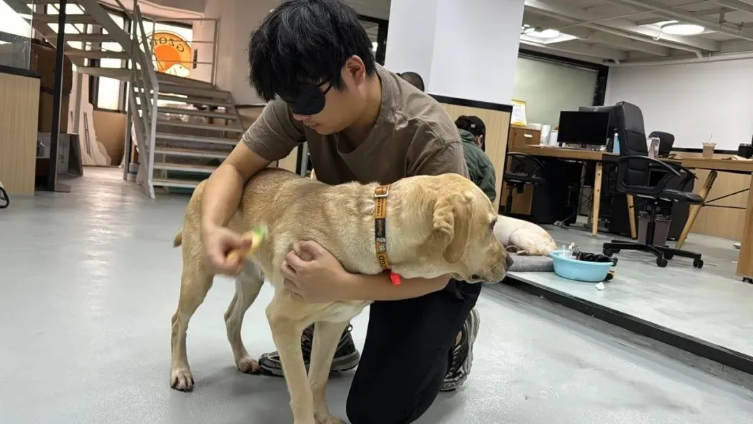 众信公益X最强蜗牛|助力广州导盲犬学校新校舍投入使用~