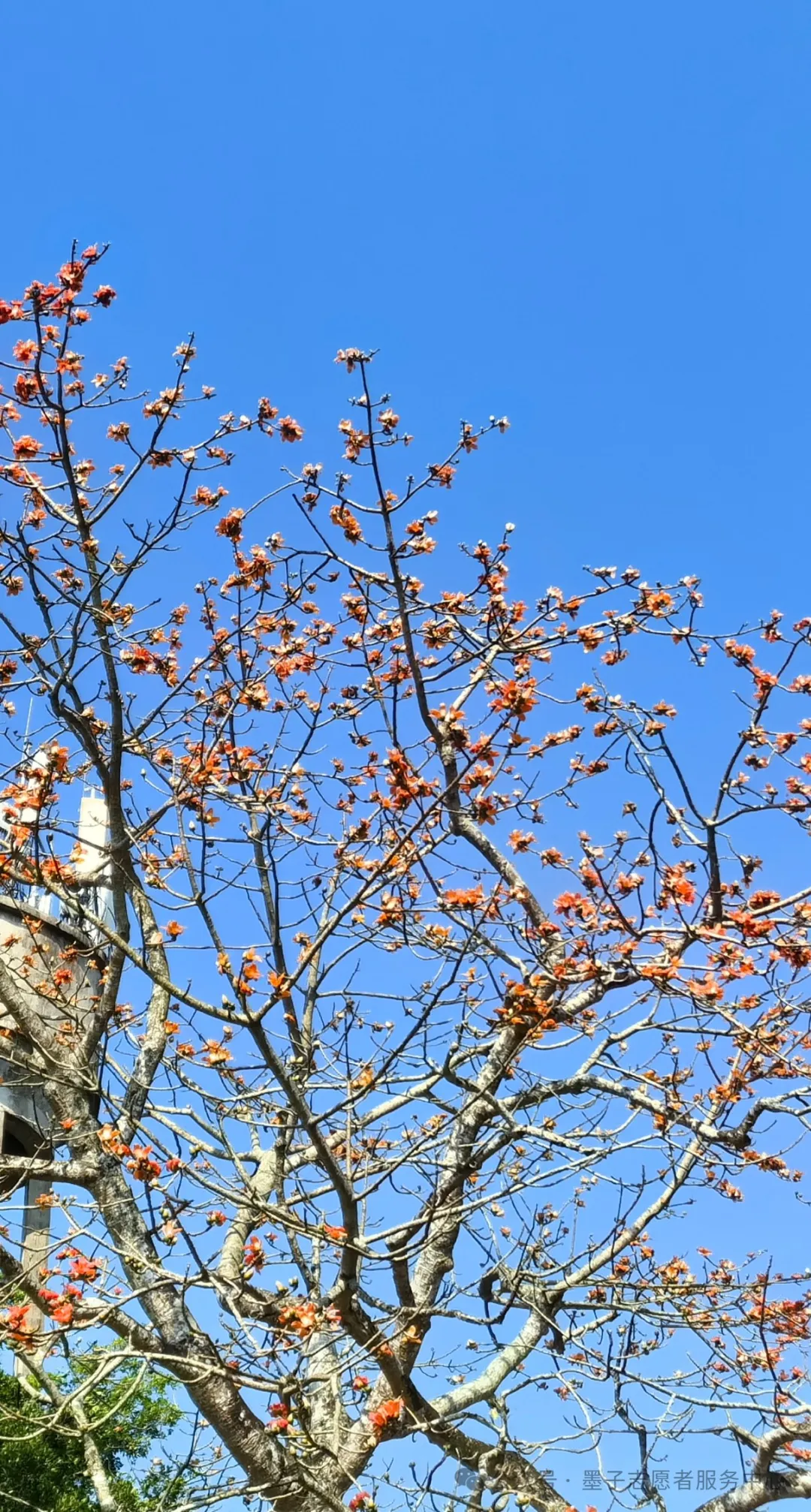 你好，墨子同学，你到底为什么要做公益？