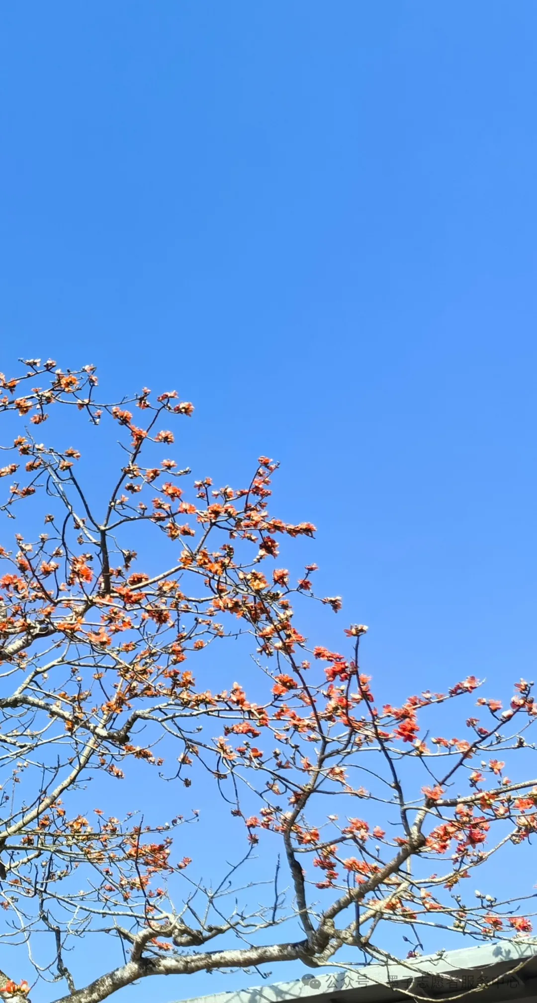 你好，墨子同学，你到底为什么要做公益？