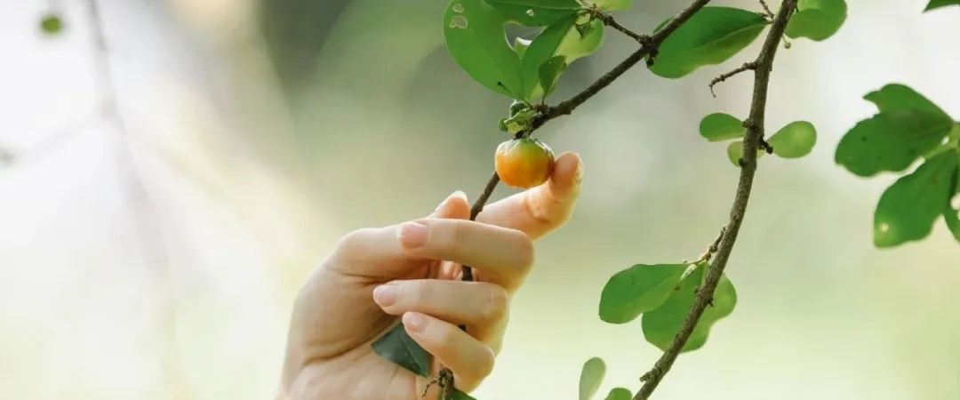 “你们团队看上去怎么那么乱”？