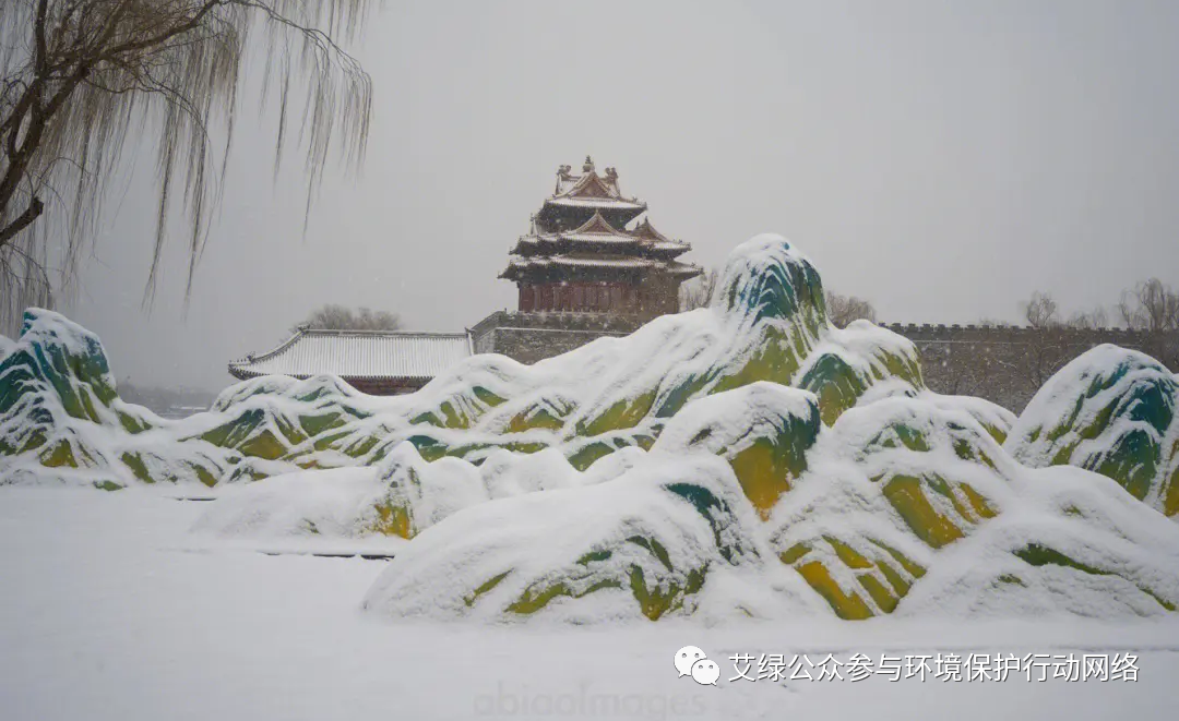 2024预测三 | “抱团取暖”做不了环保公益