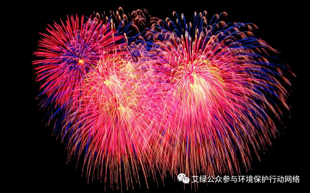 2024预测三 | “抱团取暖”做不了环保公益