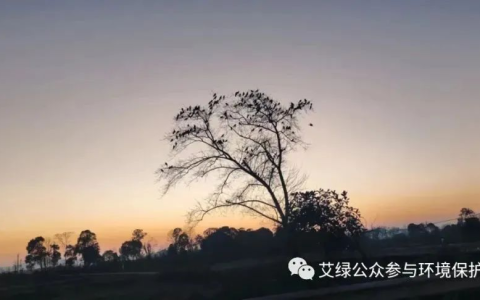 2024预测二 | 公募基金会将成为“第三方筹款服务商”？