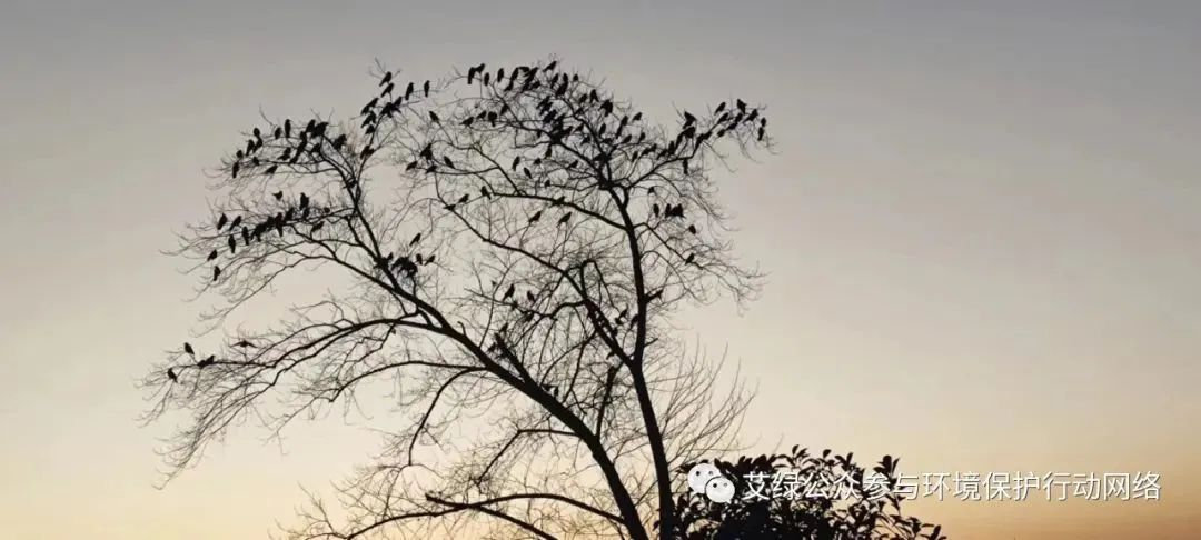 2024预测二 | 公募基金会将成为“第三方筹款服务商”？