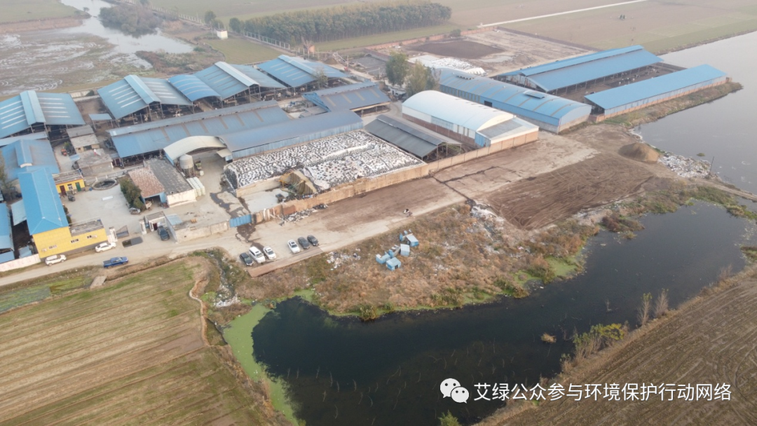 2024预测一 | 民间督察，定向爆破