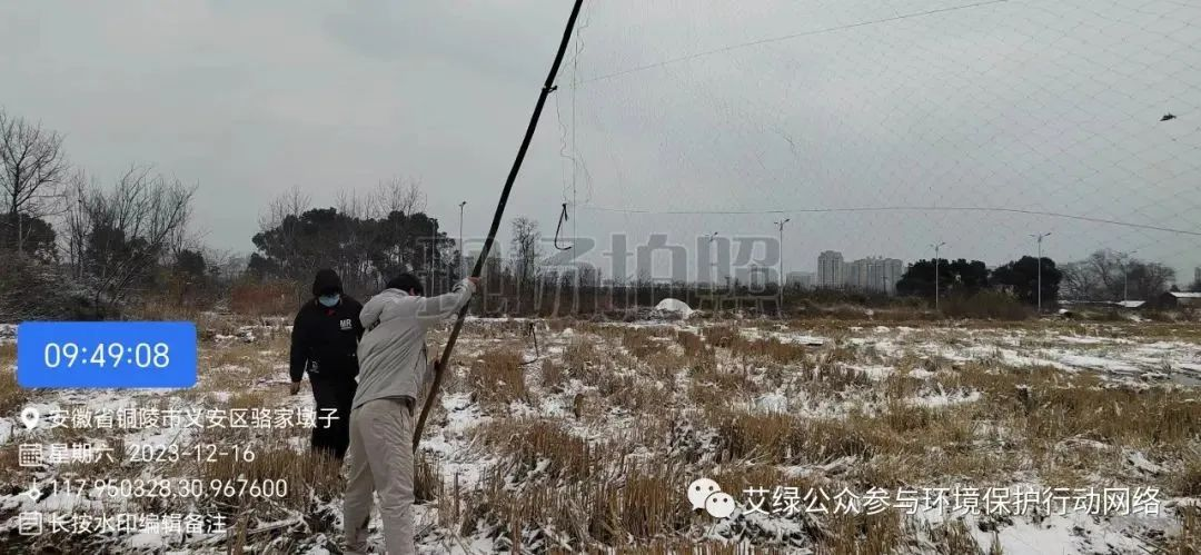 2024预测一 | 民间督察，定向爆破