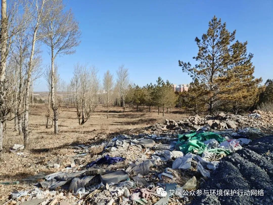 2024预测一 | 民间督察，定向爆破