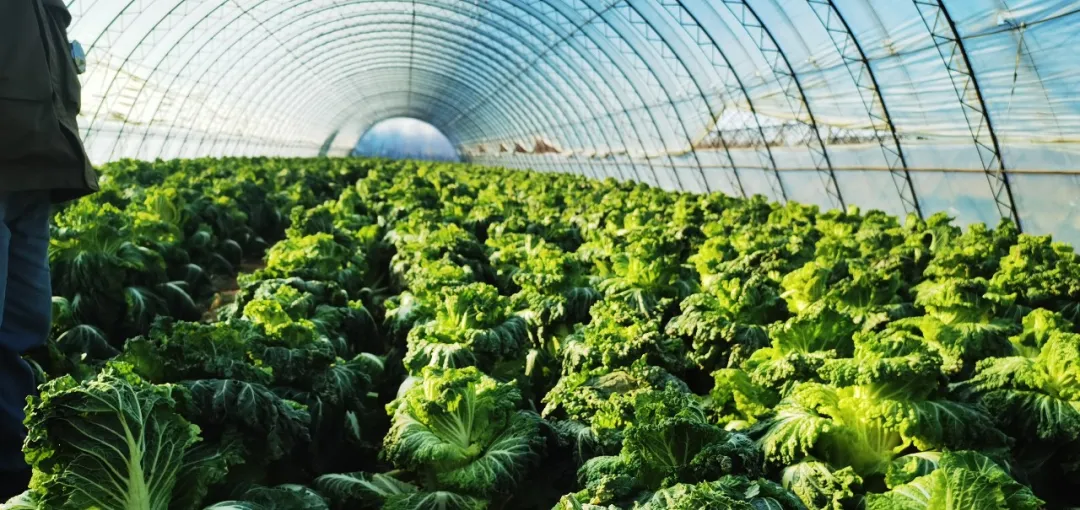 紧急行动：防止地球崩溃，化解人类生存危机，做生态人！住生态村！