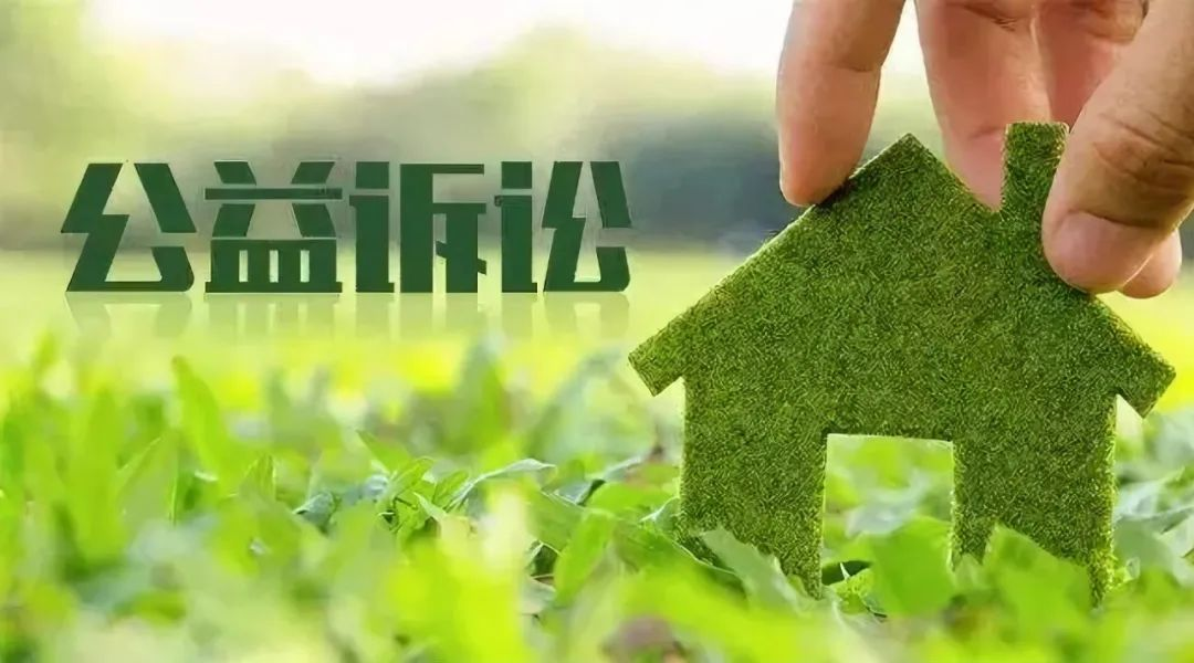 公益诉讼资格争夺战，社会组织毫无还手之力